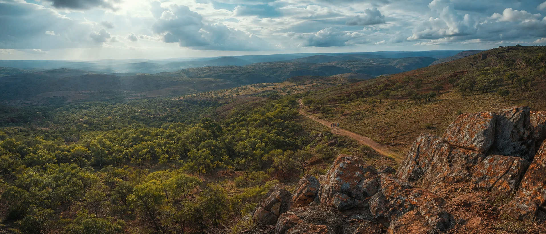 Copperbelt landscape in the Democratic Republic of Congo
